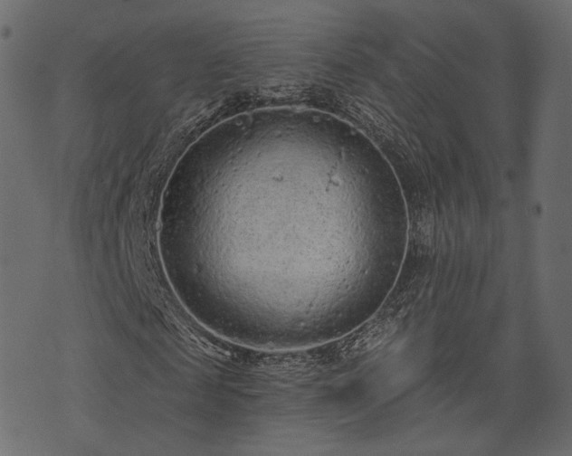 X0000074300817200608251208