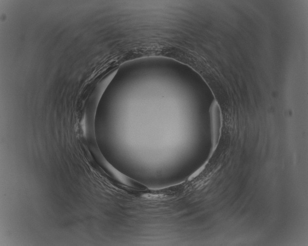 X0000074300818200608251208