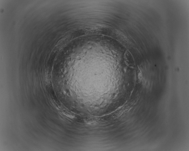 X0000074300819200608251208