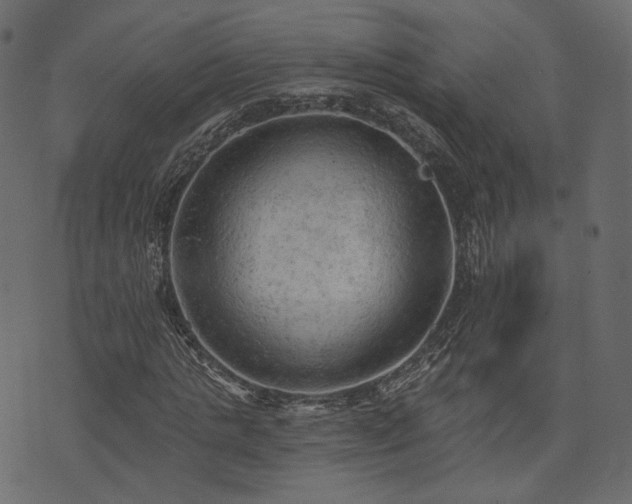 X0000074300821200608251208