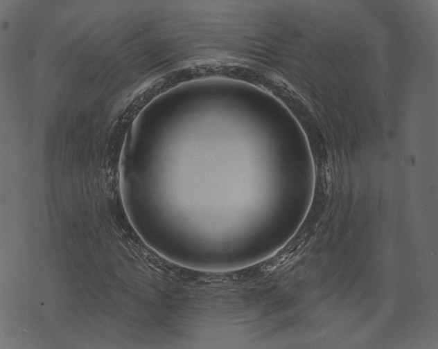 X0000074300822200608251208