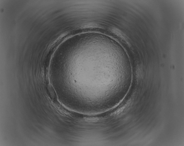 X0000074300825200608251208