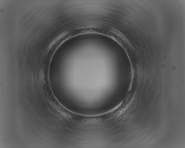 X0000074300826200608251208