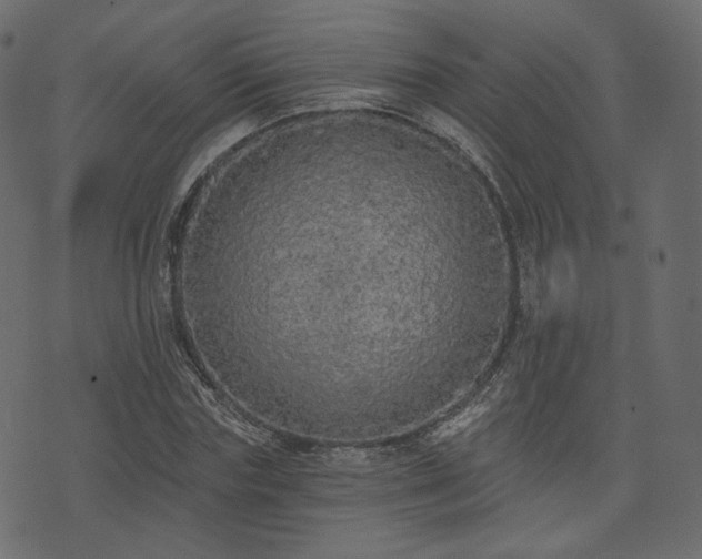 X0000074300827200608251208