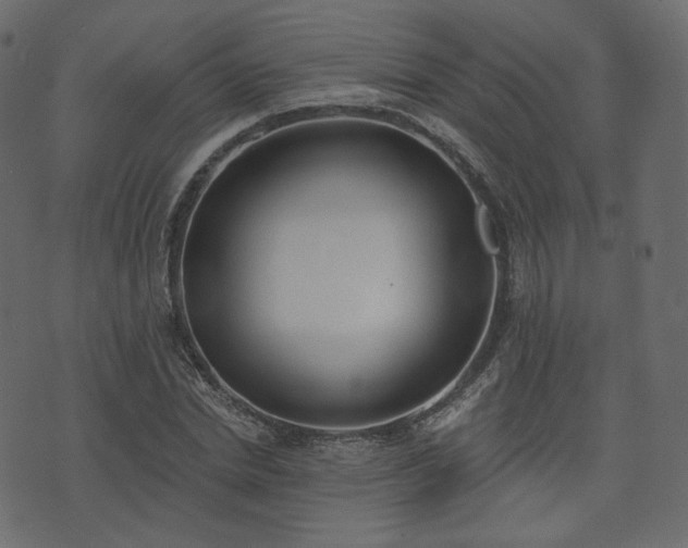 X0000074300830200608251208