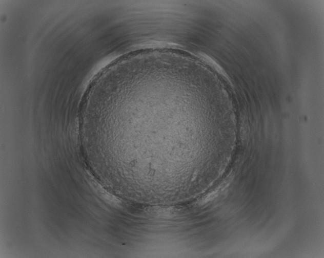 X0000074300831200608251208