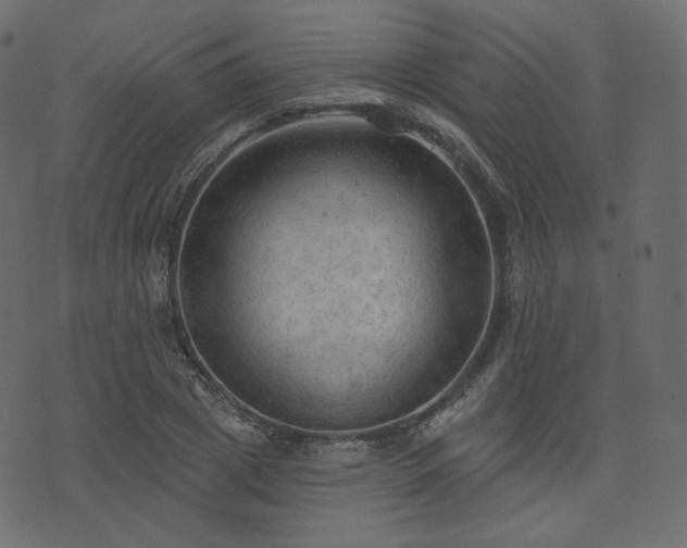 X0000074300833200608251208