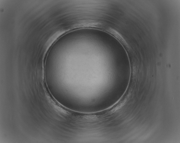 X0000074300844200608251208