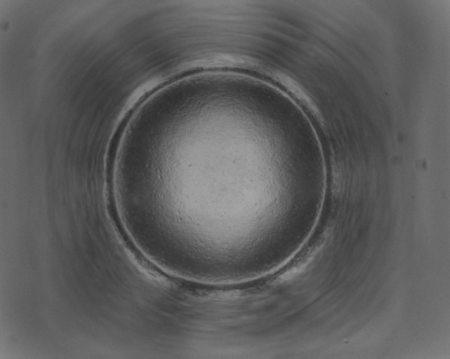 X0000074300845200608251208