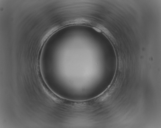 X0000074300850200608251208