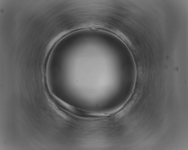 X0000074300854200608251208