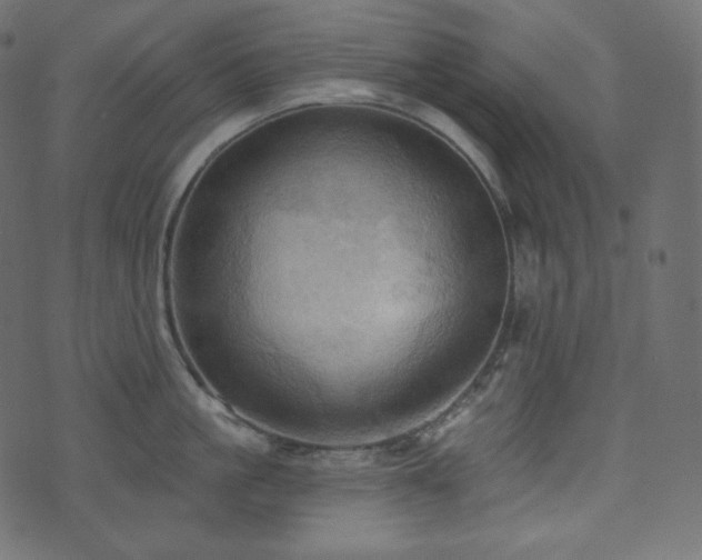 X0000074300861200608251209