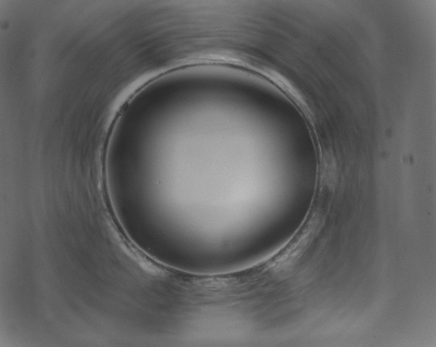 X0000074300862200608251209