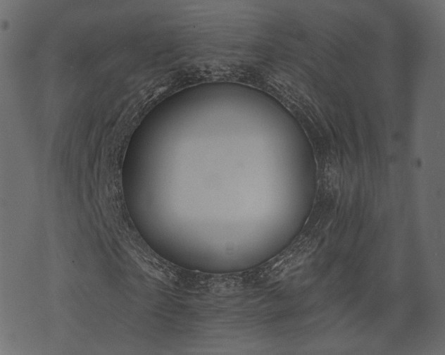 X0000074300865200608251208