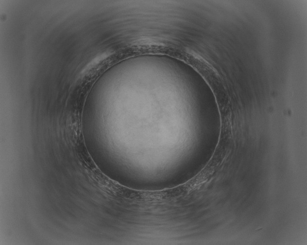 X0000074300870200608251208