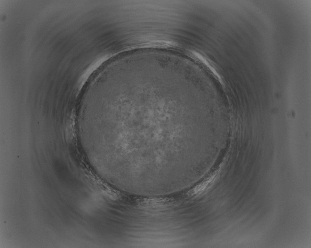 X0000074300875200608251208