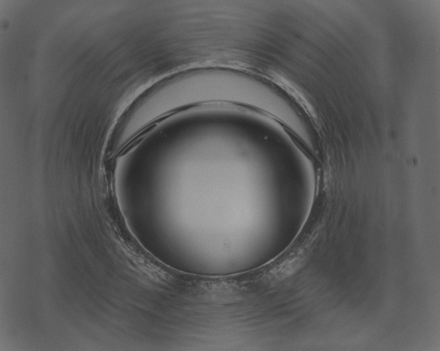X0000074300876200608251208