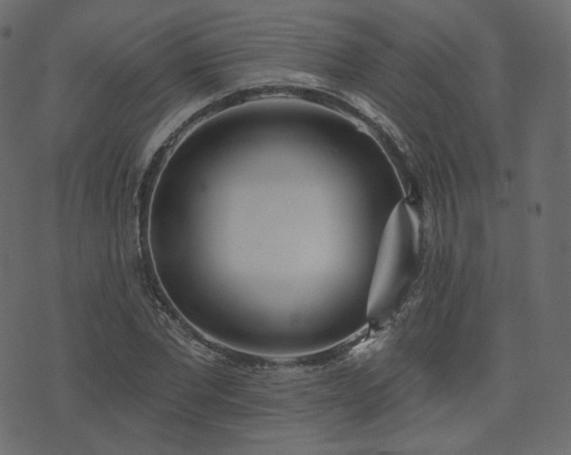 X0000074300877200608251208