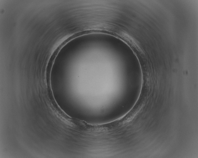 X0000074300884200608251207