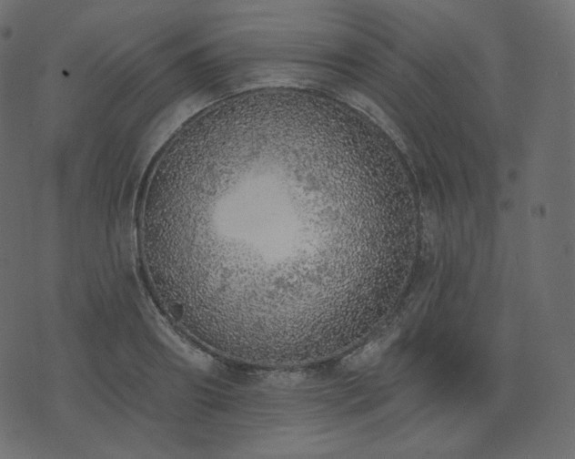 X0000074300890200608251207