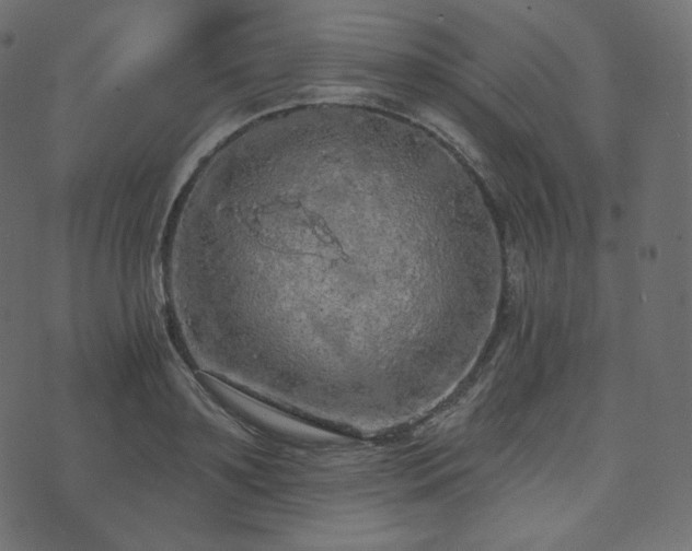 X0000074300891200608251207