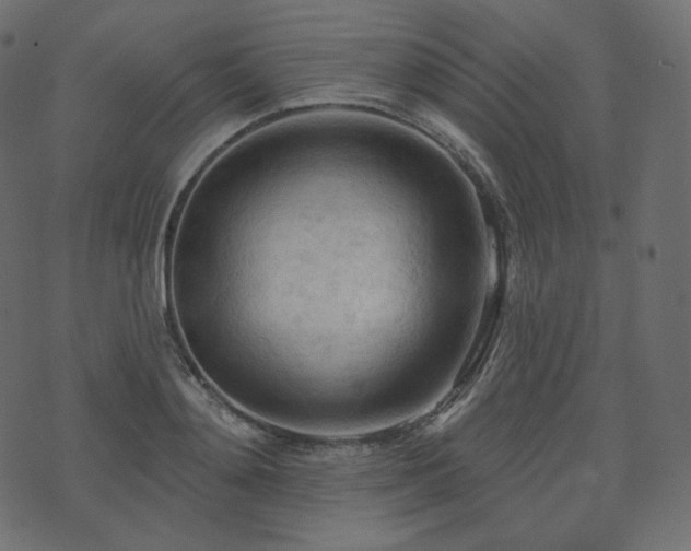 X0000074300892200608251207