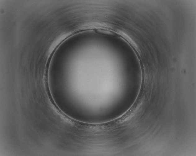 X0000074300901200608251207