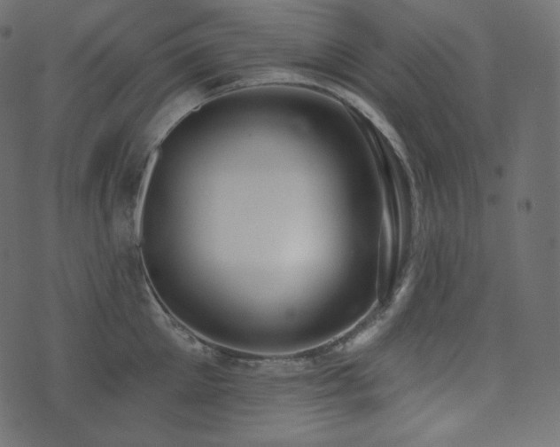 X0000074300905200608251207