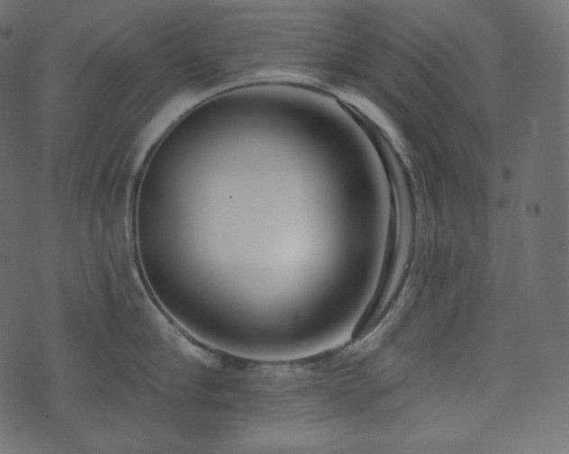 X0000074300910200608251207