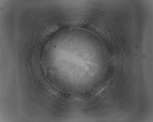 X0000074300913200608251206