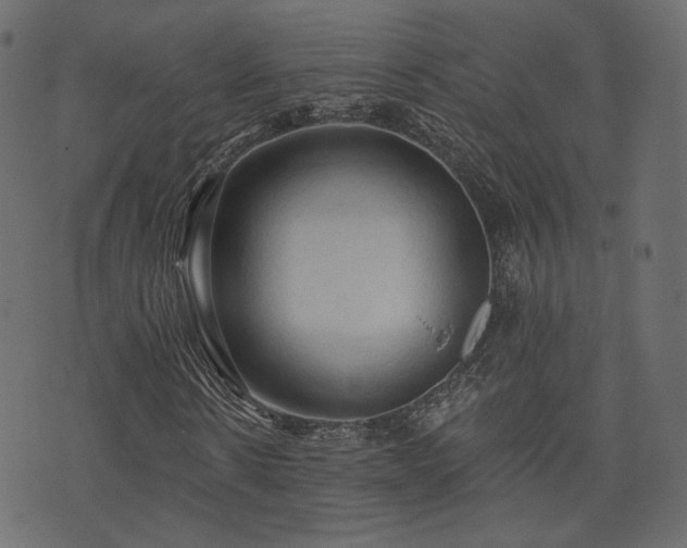 X0000074300914200608251206