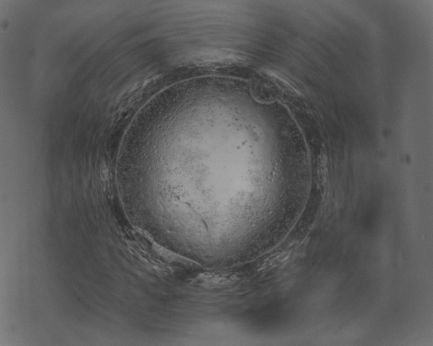 X0000074300917200608251206