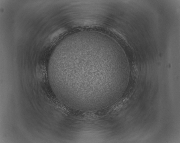 X0000074300918200608251206