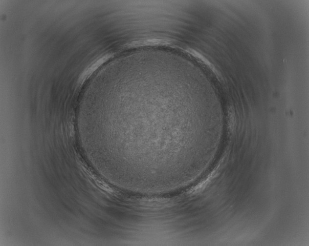 X0000074300921200608251206