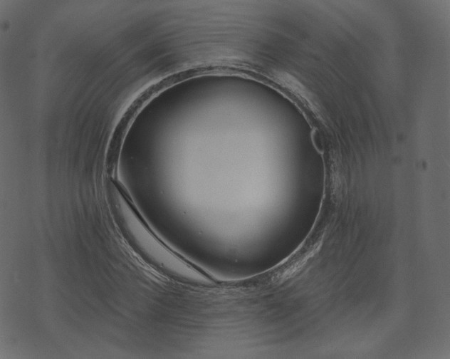 X0000074300924200608251206