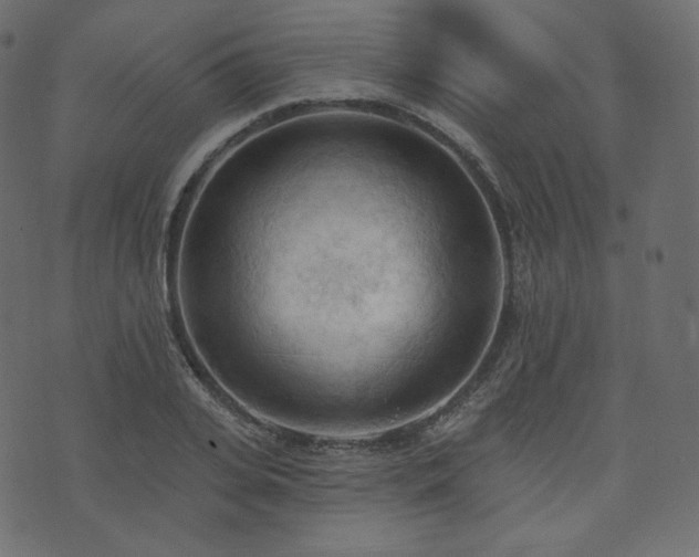 X0000074300935200608251207