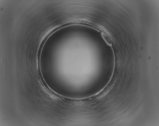 X0000074300940200608251207