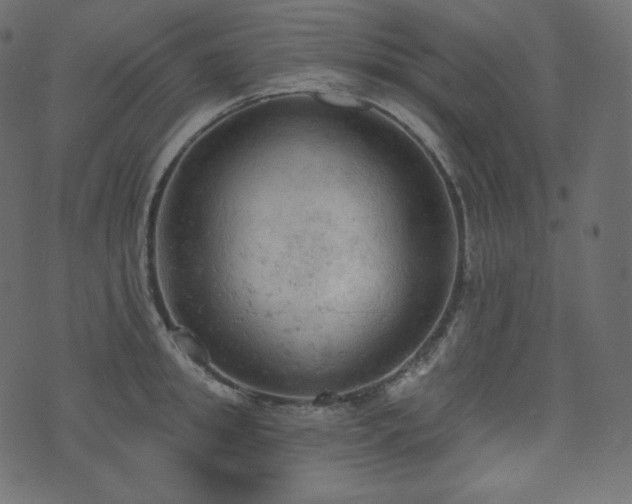 X0000074300949200608251207