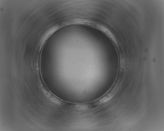 X0000074300954200608251207