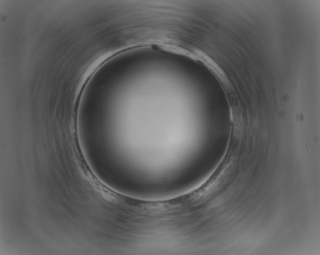 X0000074300956200608251207