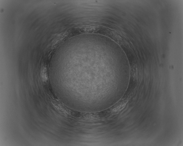 X0000074300962200608251206