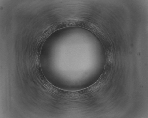 X0000074300964200608251206