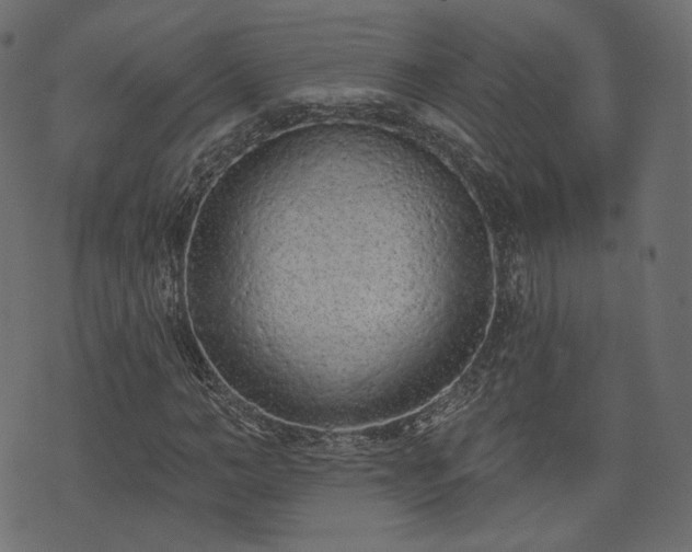 X0000074300966200608251206