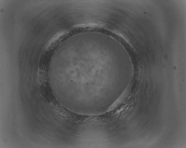 X0000074300967200608251206