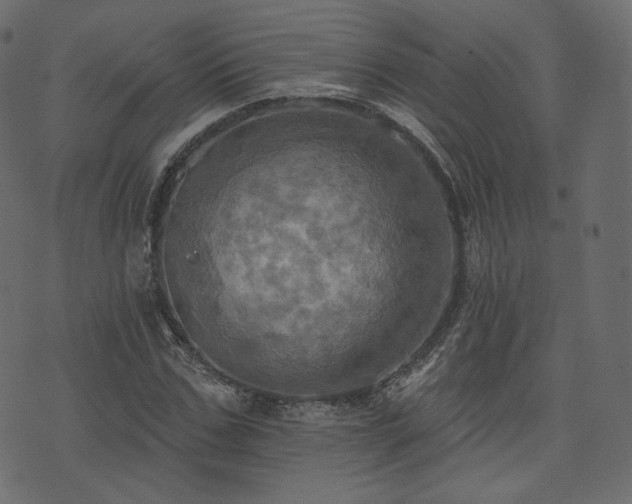 X0000074300971200608251206