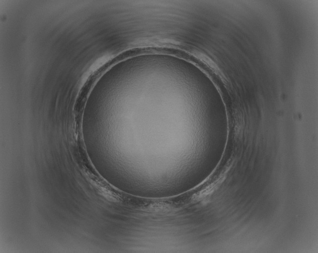 X0000074300974200608251206