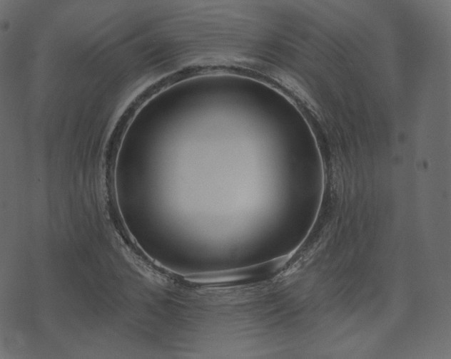 X0000074300976200608251206