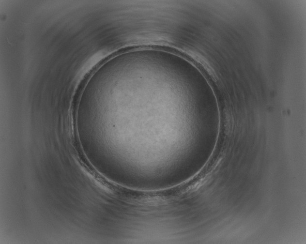 X0000074300982200608251206
