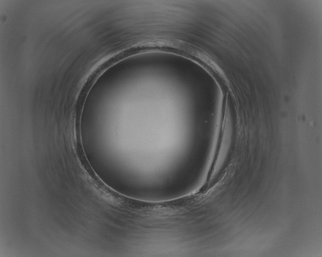 X0000074300984200608251206