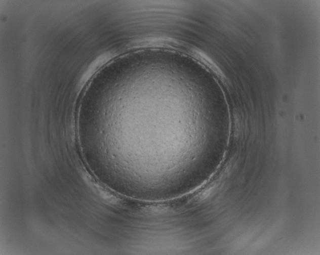 X0000074300994200608251206